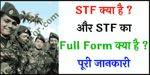 STF Full Form