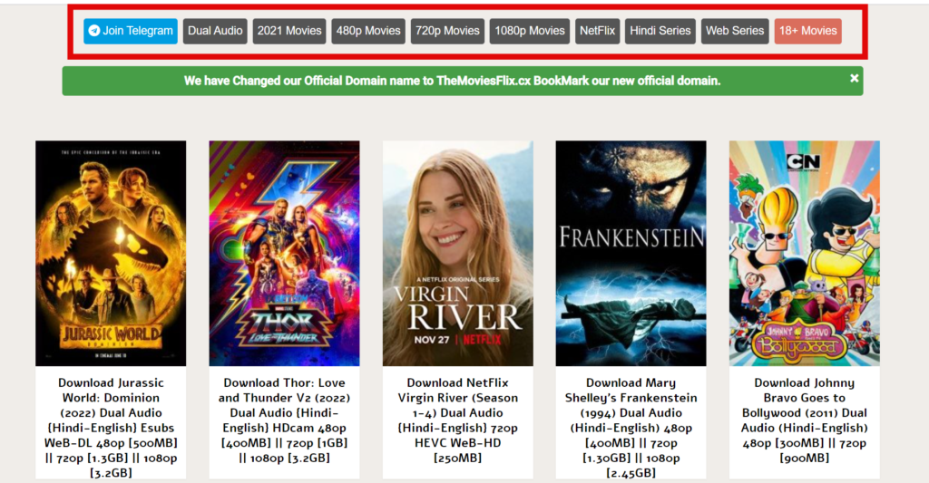 Moviesflix website
